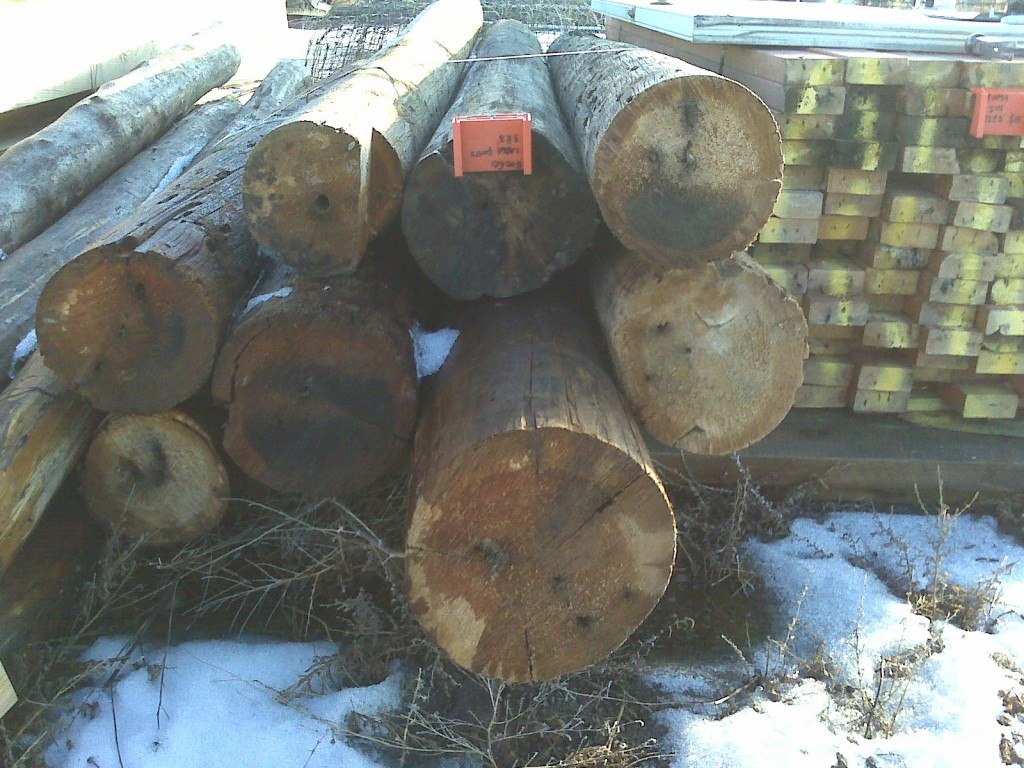 Items #0060. Large Dia. Posts (6"-12"). 8@8'. $200.